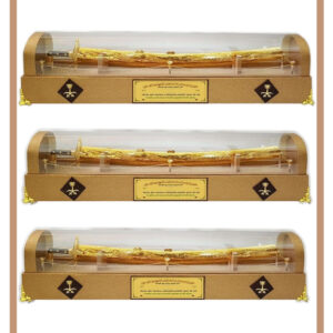 علبة سيف مقاس كبير